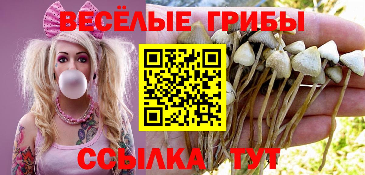 Галлюциногенные грибы ЛСД  Вход с VPN  купить наркотик  Калуга 